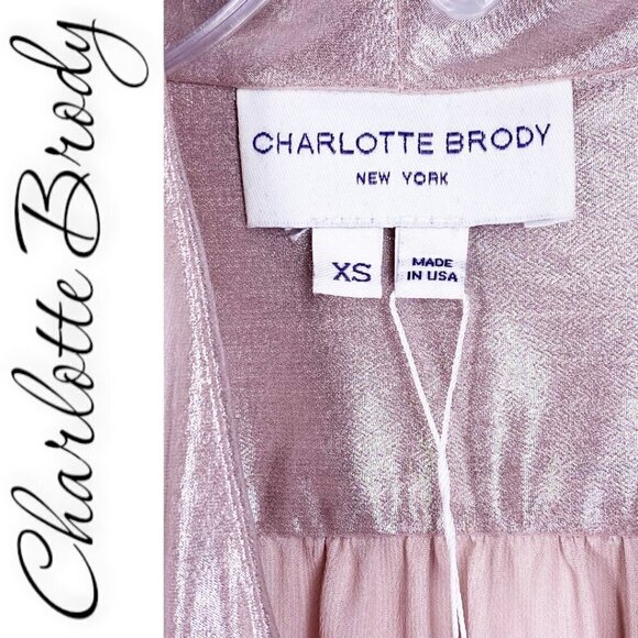 NWT CHARLOTTE BRODY Tie-Neck Blouse In Pink Blush Lamé, Size XS - Picture 3 of 8